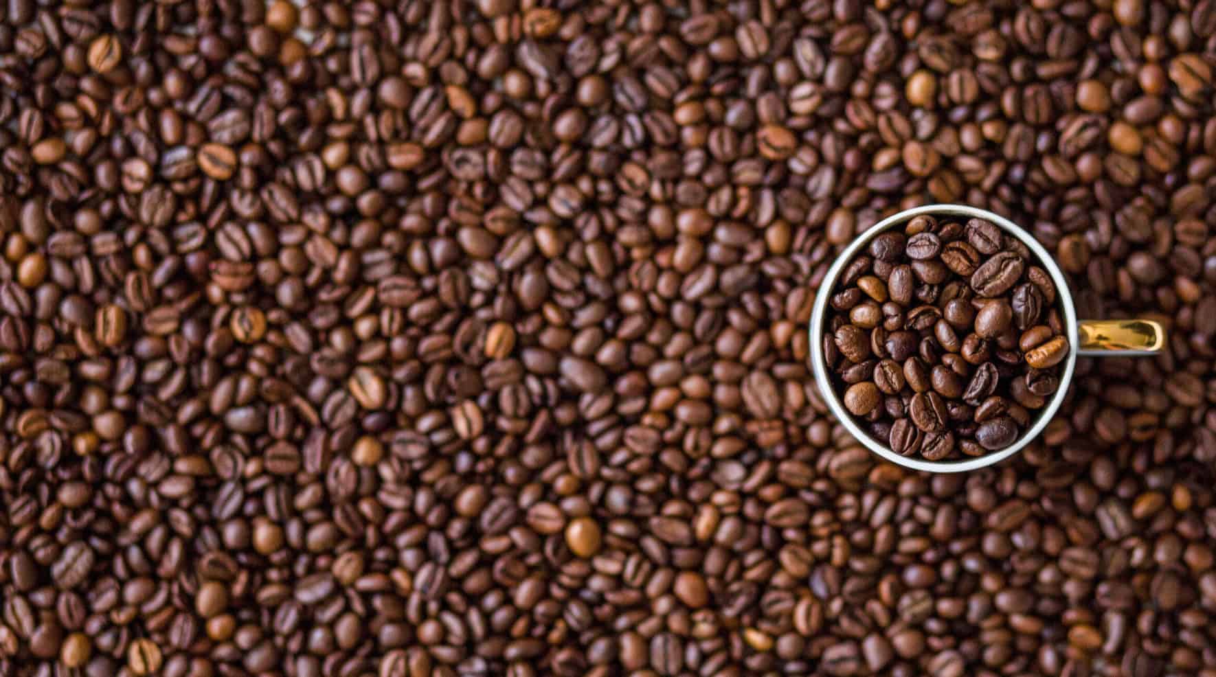 java 19 features