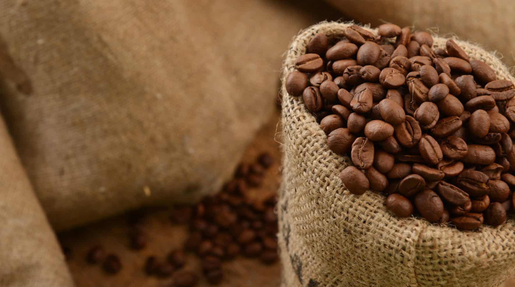 java module imports feature image